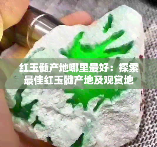 红玉髓产地哪里更好：探索更佳红玉髓产地及观赏地