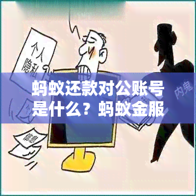 蚂蚁还款对公账号是什么？蚂蚁金服对公账号长什么样？