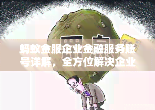 蚂蚁金服企业金融服务账号详解，全方位解决企业金融需求