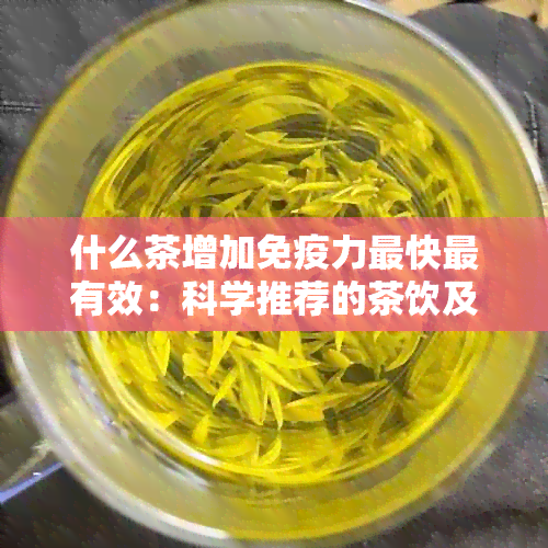 什么茶增加免疫力最快最有效：科学推荐的茶饮及其功效