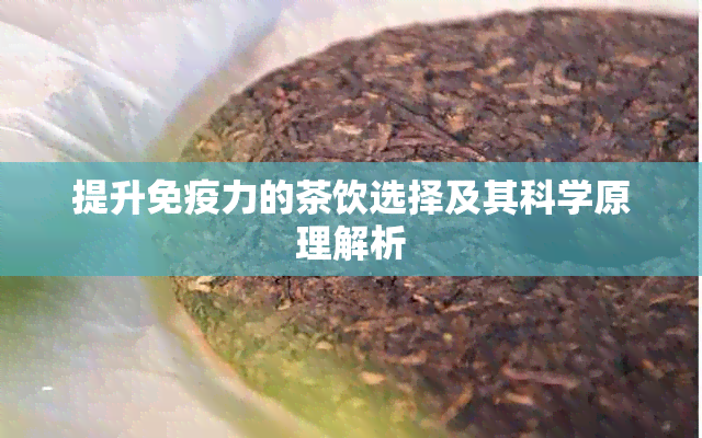 提升免疫力的茶饮选择及其科学原理解析