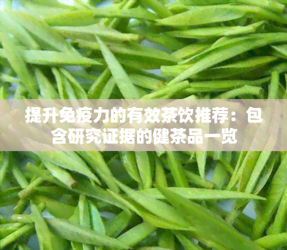 提升免疫力的有效茶饮推荐：包含研究证据的健茶品一览