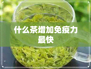 什么茶增加免疫力最快