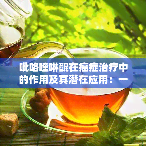 吡咯喹啉醌在癌症治疗中的作用及其潜在应用：一篇全面的综述