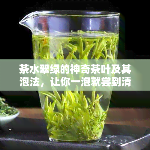 茶水翠绿的神奇茶叶及其泡法，让你一泡就尝到清新的味道