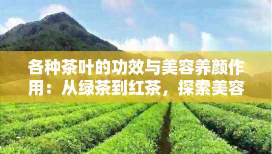 各种茶叶的功效与美容养颜作用：从绿茶到红茶，探索美容的全攻略