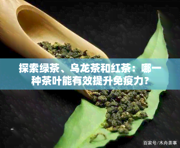 探索绿茶、乌龙茶和红茶：哪一种茶叶能有效提升免疫力？