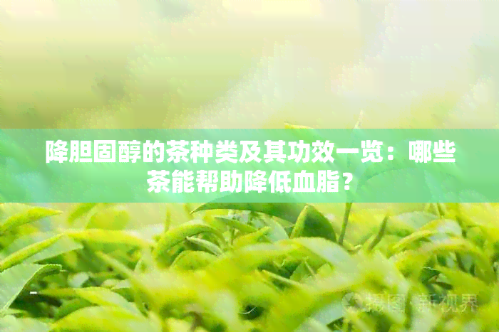 降胆固醇的茶种类及其功效一览：哪些茶能帮助降低血脂？