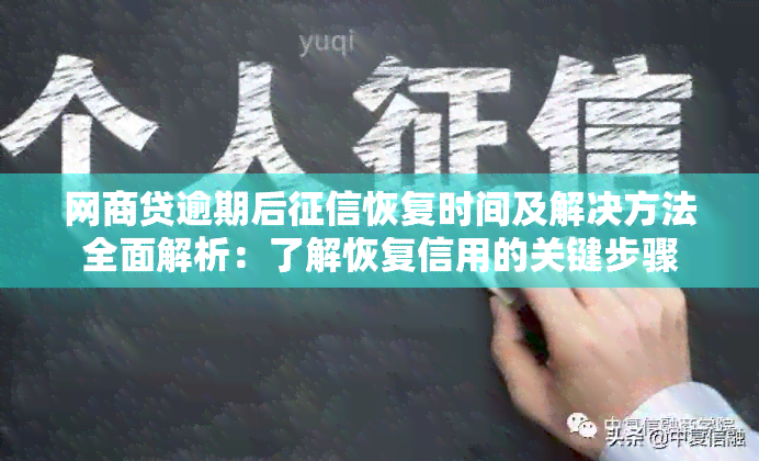 网商贷逾期后恢复时间及解决方法全面解析：了解恢复信用的关键步骤