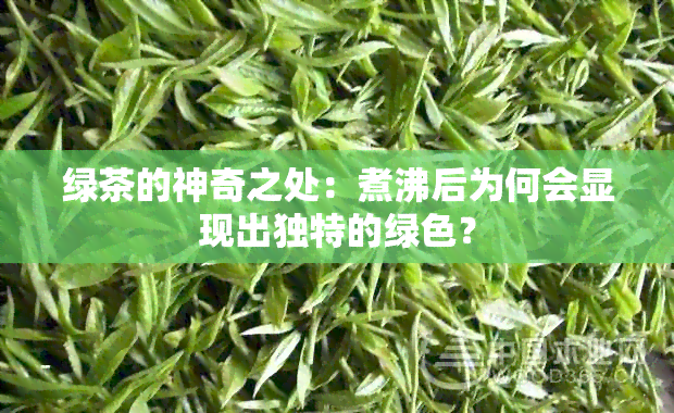 绿茶的神奇之处：煮沸后为何会显现出独特的绿色？