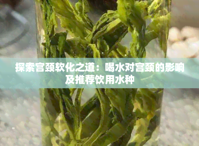 探索宫颈软化之道：喝水对宫颈的影响及推荐饮用水种