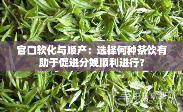 宫口软化与顺产：选择何种茶饮有助于促进分娩顺利进行？