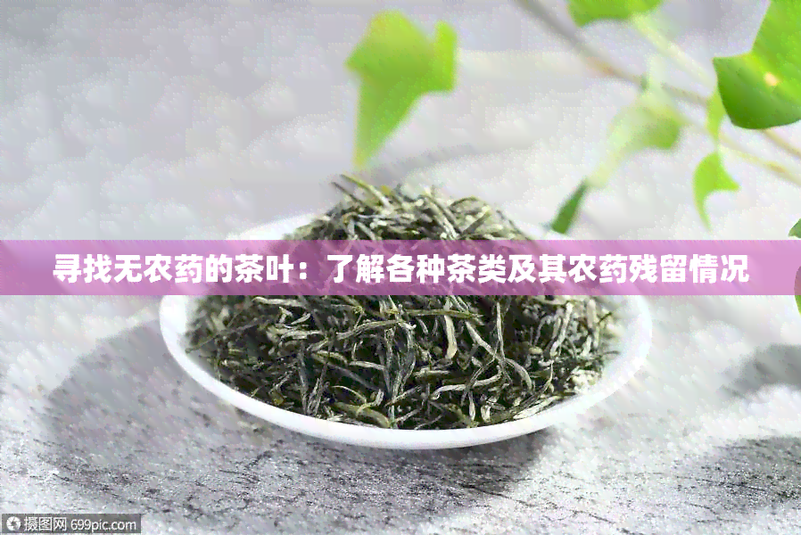 寻找无农的茶叶：了解各种茶类及其农残留情况