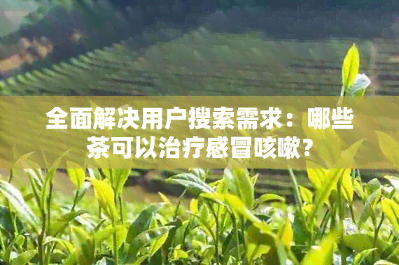 全面解决用户搜索需求：哪些茶可以治疗感冒咳嗽？