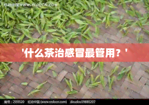 '什么茶治感冒最管用？'