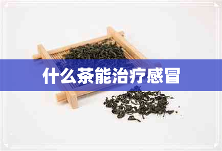 什么茶能治疗感冒