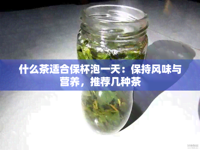 什么茶适合保杯泡一天：保持风味与营养，推荐几种茶