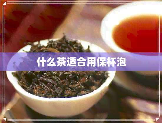 什么茶适合用保杯泡