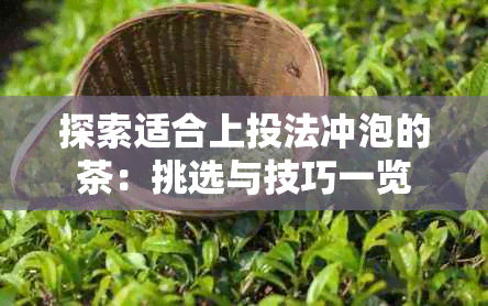 探索适合上投法冲泡的茶：挑选与技巧一览