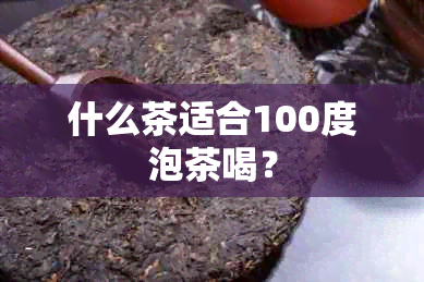 什么茶适合100度泡茶喝？