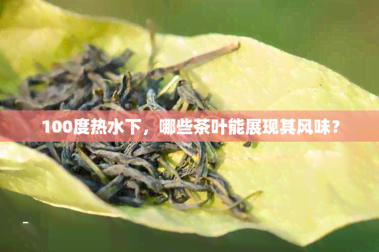 100度热水下，哪些茶叶能展现其风味？