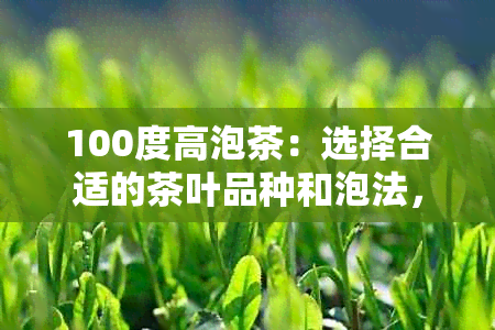 100度高泡茶：选择合适的茶叶品种和泡法，让茶香四溢