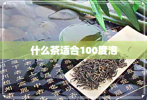 什么茶适合100度泡