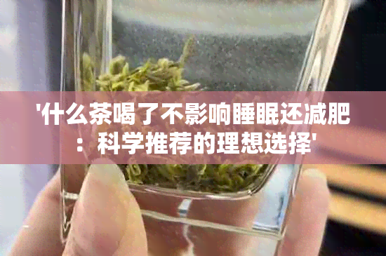 '什么茶喝了不影响睡眠还减肥：科学推荐的理想选择'