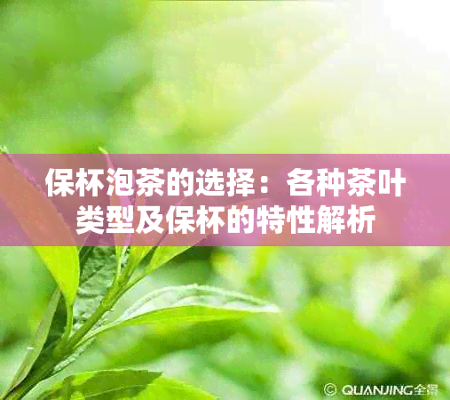 保杯泡茶的选择：各种茶叶类型及保杯的特性解析