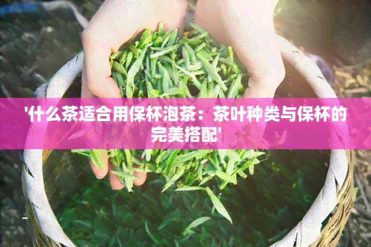 '什么茶适合用保杯泡茶：茶叶种类与保杯的完美搭配'