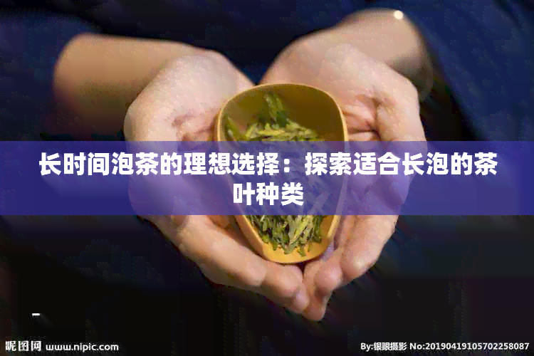 长时间泡茶的理想选择：探索适合长泡的茶叶种类