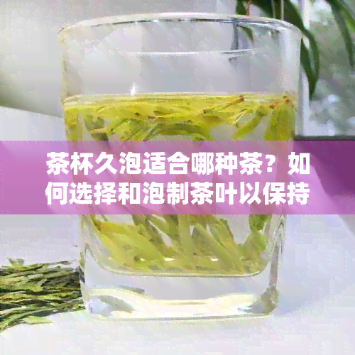 茶杯久泡适合哪种茶？如何选择和泡制茶叶以保持口感