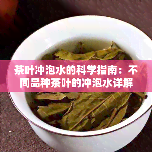 茶叶冲泡水的科学指南：不同品种茶叶的冲泡水详解