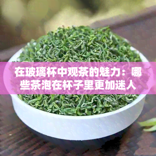 在玻璃杯中观茶的魅力：哪些茶泡在杯子里更加迷人？