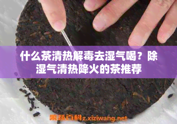 什么茶清热解去湿气喝？除湿气清热降火的茶推荐