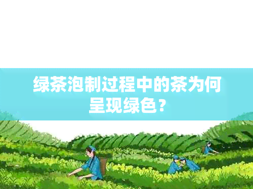 绿茶泡制过程中的茶为何呈现绿色？