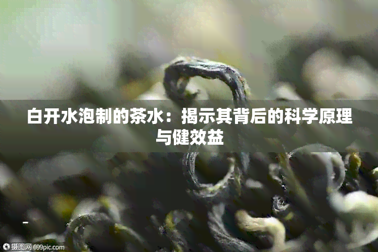 白开水泡制的茶水：揭示其背后的科学原理与健效益