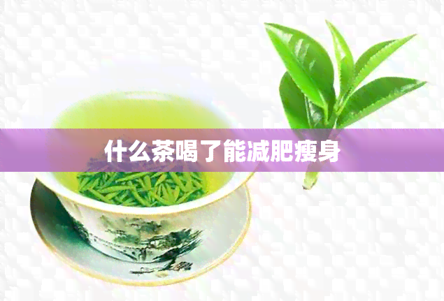 什么茶喝了能减肥瘦身