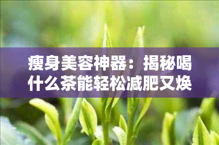 瘦身美容神器：揭秘喝什么茶能轻松减肥又焕发肌肤光彩