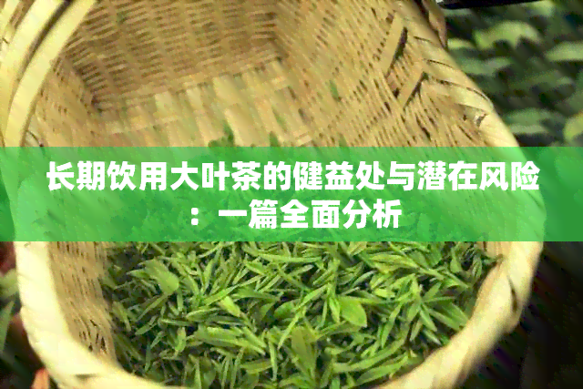 长期饮用大叶茶的健益处与潜在风险：一篇全面分析