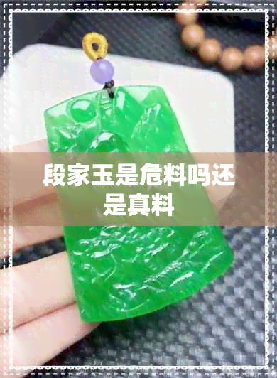 段家玉是危料吗还是真料