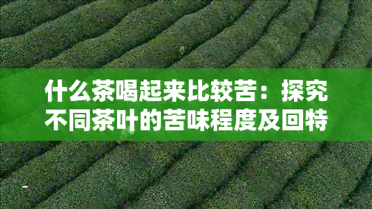 什么茶喝起来比较苦：探究不同茶叶的苦味程度及回特点