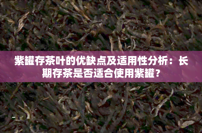 紫罐存茶叶的优缺点及适用性分析：长期存茶是否适合使用紫罐？