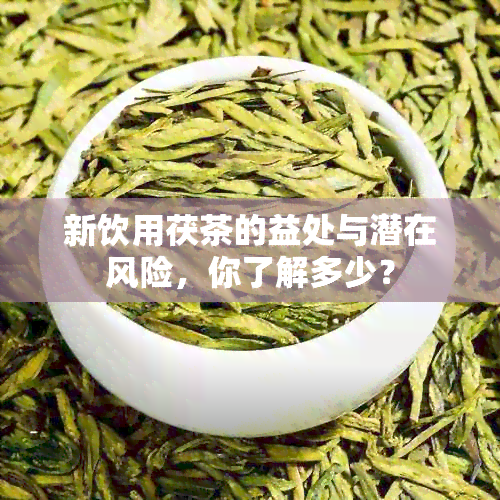 新饮用茯茶的益处与潜在风险，你了解多少？