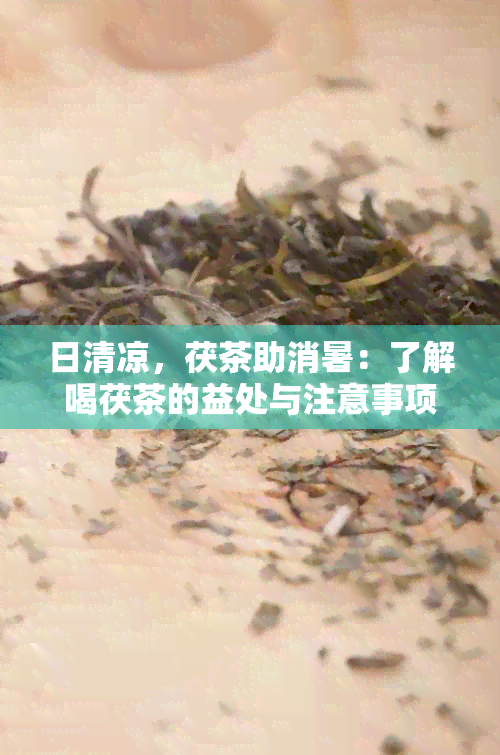 日清凉，茯茶助消暑：了解喝茯茶的益处与注意事项