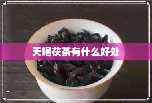 天喝茯茶有什么好处