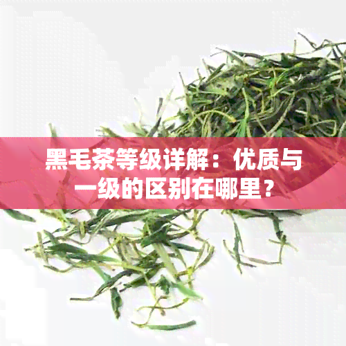 黑毛茶等级详解：优质与一级的区别在哪里？