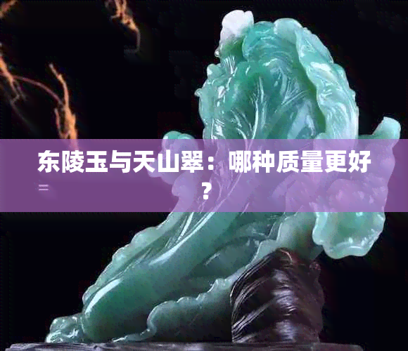 东陵玉与天山翠：哪种质量更好？