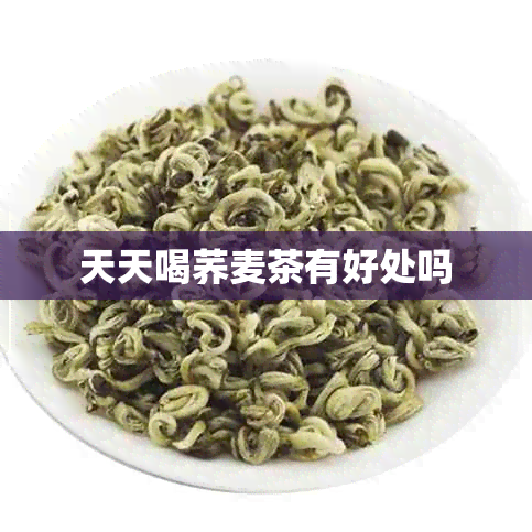 天天喝荞麦茶有好处吗