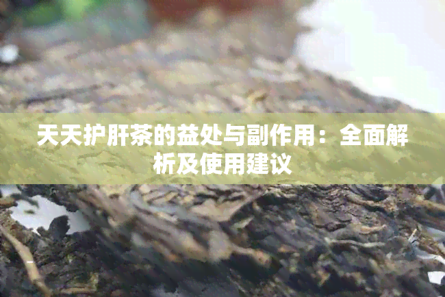 天天护肝茶的益处与副作用：全面解析及使用建议